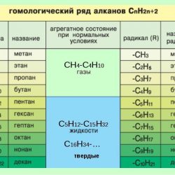 Химия и… жизнь