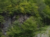 krasnaya-polyana201470
